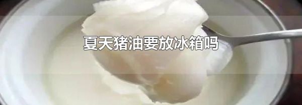 夏天猪油要放冰箱吗