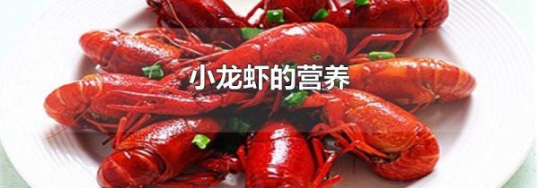 小龙虾的营养