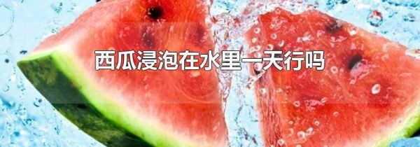 西瓜浸泡在水里一天行吗