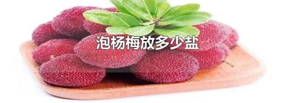 泡杨梅放多少盐