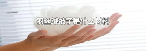 羽丝绒被子是什么材料