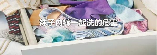 袜子内裤一起洗的危害