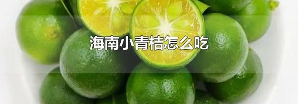 海南小青桔怎么吃