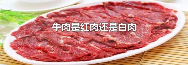 牛肉是红肉还是白肉