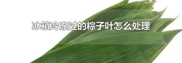 冰箱冷冻过的粽子叶怎么处理