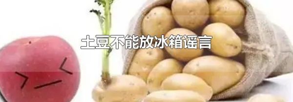 土豆不能放冰箱谣言