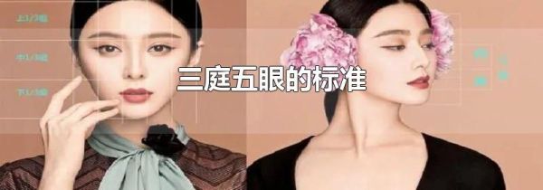 三庭五眼的标准