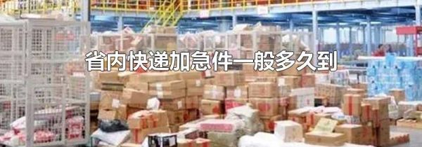省内快递加急件一般多久到
