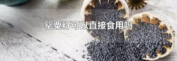 罂粟籽可以直接食用吗