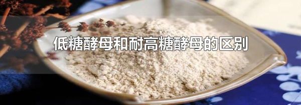 低糖酵母和耐高糖酵母的区别