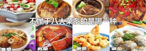 不属于八大菜系的是哪一种