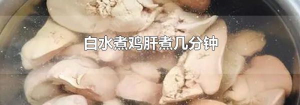 白水煮鸡肝煮几分钟