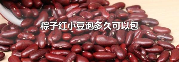粽子红小豆泡多久可以包