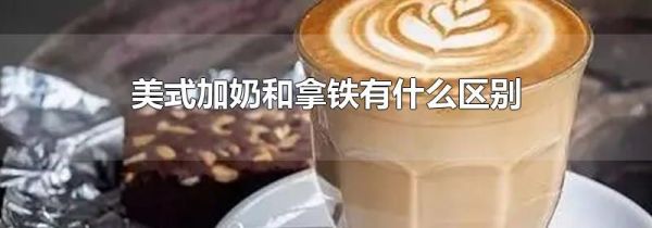 美式加奶和拿铁有什么区别