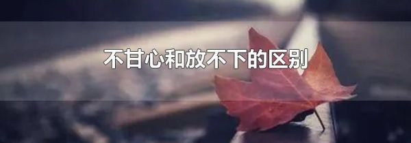 不甘心和放不下的区别