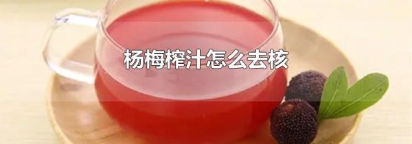 杨梅榨汁怎么去核