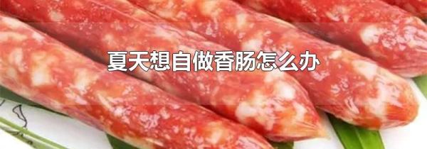夏天想自做香肠怎么办