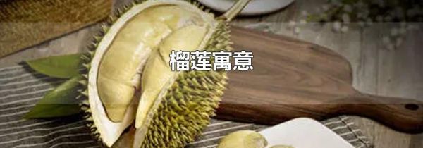 榴莲寓意
