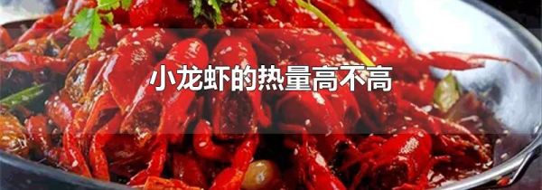 小龙虾的热量高不高