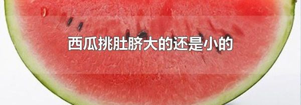 西瓜挑肚脐大的还是小的