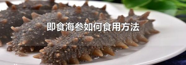 即食海参如何食用方法