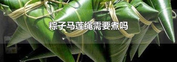 粽子马莲绳需要煮吗