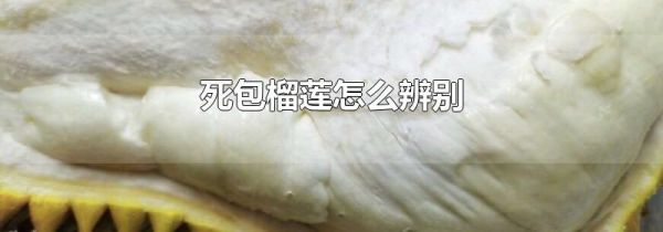 死包榴莲怎么辨别