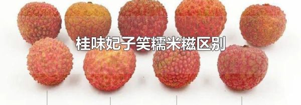 桂味妃子笑糯米糍区别