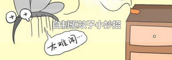自制驱蚊子小妙招