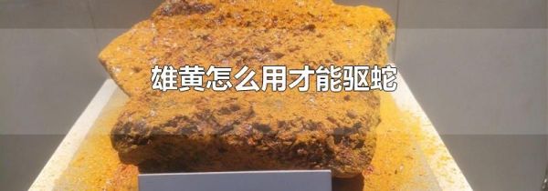 雄黄怎么用才能驱蛇