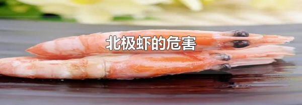 北极虾的危害