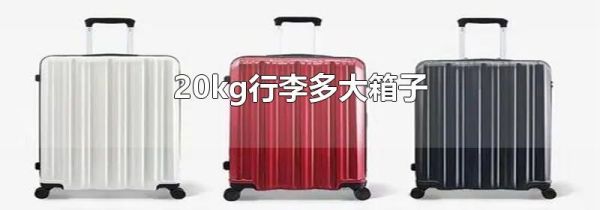 20kg行李多大箱子