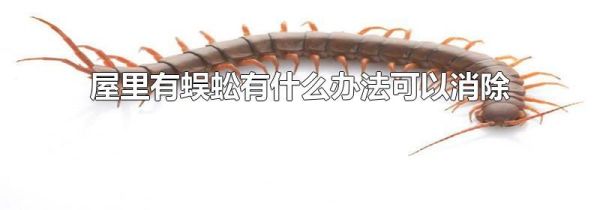 屋里有蜈蚣有什么办法可以消除