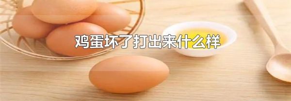 鸡蛋坏了打出来什么样