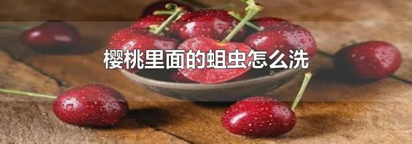樱桃里面的蛆虫怎么洗