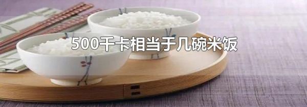 500千卡相当于几碗米饭