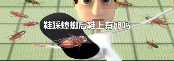 鞋踩蟑螂后鞋上有卵吗