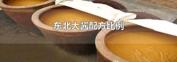 东北大酱配方比例