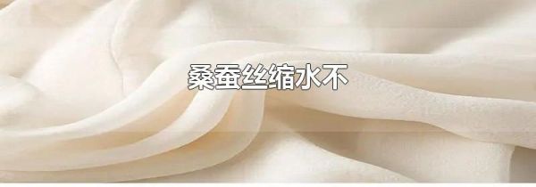 桑蚕丝缩水不
