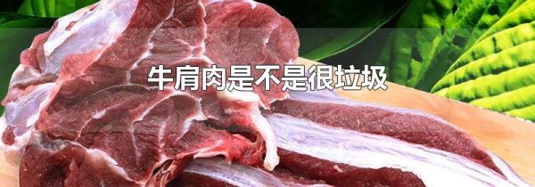 牛肩肉是不是很垃圾