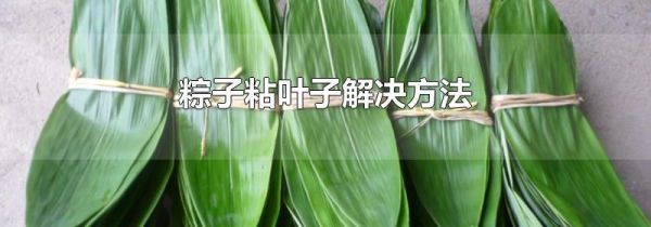 粽子粘叶子解决方法