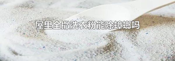 屋里全撒洗衣粉能除蟑螂吗