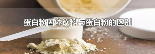 蛋白粉固体饮料与蛋白粉的区别