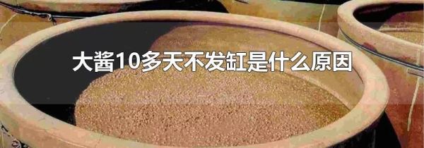 大酱10多天不发缸是什么原因