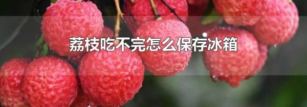 荔枝吃不完怎么保存冰箱