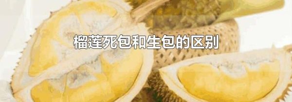 榴莲死包和生包的区别
