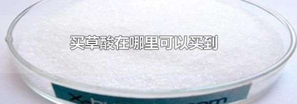 买草酸在哪里可以买到