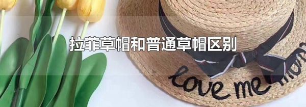 拉菲草帽和普通草帽区别