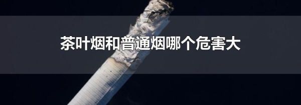 茶叶烟和普通烟哪个危害大