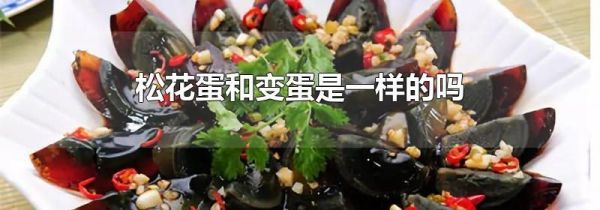 松花蛋和变蛋是一样的吗